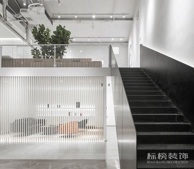 辦公室植物擺放植物有哪些，怎么擺放比較好？